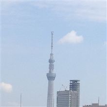久しぶりの景色