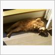 いやだけどそろそろイクとするかな・・・・・