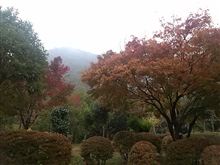 ゴーイング広島