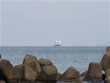 海を見にとか肋骨ガリーさん宅へ遊びにとか 海を見にとか肋骨ガリーさん宅へ遊びにとか