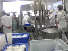 フランスのフレッシュチーズ