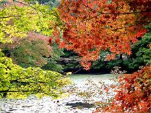 少し早いですが、神戸の山々を偵察してきました