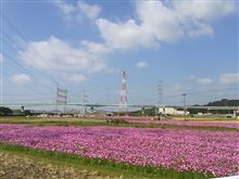 久しぶりに整備 久しぶりに整備