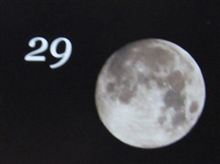 月暦　１０月２９日（月）