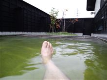 癒しの空間　太古の湯