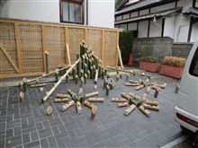 憧憬の路を見に行ってきた～　その1