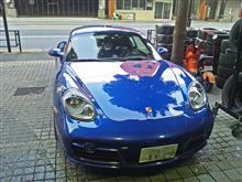ツルテカ♪(0゚・∀・) ツルテカ♪(0゚・∀・)