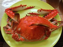 今日の夕飯は・・・？？？