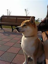 プチオフに行って‥(*⌒▽⌒*)