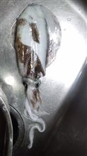ブハハハハ みんカラ 車 自動車sns ブログ パーツ 燃費 整備 ブハハハハ みんカラ 車 自動車sns ブログ パーツ 燃費 整備
