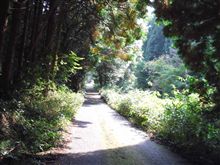 10/30サイクリング自宅→湯来町へコギコギ93km！山神よ怒りを鎮めたまへ！