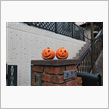 明日はHALLOWEENです ...