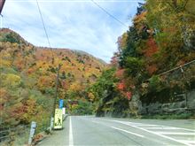 火曜は定休日　紅葉チェック