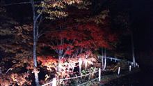 新潟から呟く