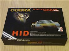 ＮＥＷなＨＩＤ