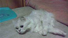 ２０１２年も残り２か月～