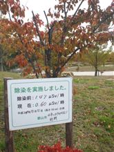 いつも、そばにいる君こそ大事と気づいた