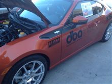 86 ストライプ