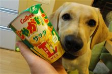 ≪ショートブログ≫ 知らなかった・・・☆