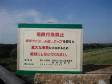 悪戯じゃすまないよ