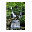 フォトギャラリーにアップしましたよ♪【奥飛騨・高山旅行 二日目（2012/09/05） Vol.4・5・6・お土産編】 