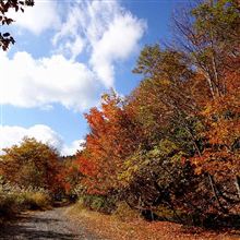 久々の山岳ドライブは氷ノ山 久々の山岳ドライブは氷ノ山