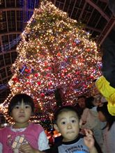 本日は札幌ファクトリーにてジャンボクリスマスツリーの点灯式を見学。GANSANから記念品が・・。