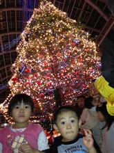 本日は札幌ファクトリーにてジャンボクリスマスツリーの点灯式を見学。GANSANから記念品が・・。 