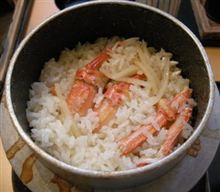 岡崎で　遊んできます＾０＾