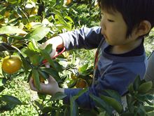 今年も津久井浜にて