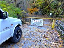 中津川林道情報
