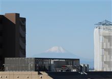 いい天気だったので