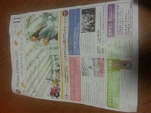 気になります(^-^)