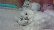 回転数があがった！？