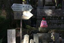 紅葉の高野山