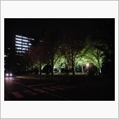 たまには、綺麗なブログにした ...