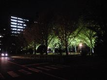 たまには、綺麗なブログにしたいなぁ～と(^^ゞ