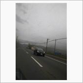 ○○大発生で、全国デビュー?