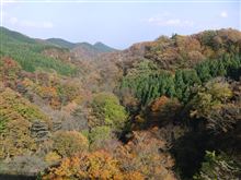 紅葉の季節なので