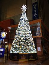 今年初イルミネーション♪