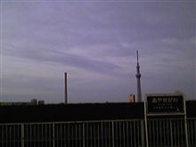 今朝のスカツリ。（Ver.121109）
