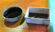 やっぱりリフレッシュになったようです。