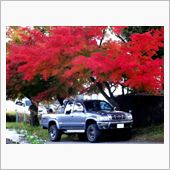 紅葉は緑と赤があってきれい