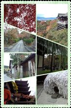 清水寺 癒される♪