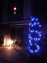 クリスマスイルミネーション！