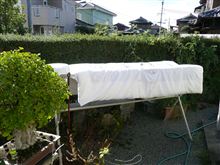 洗濯物と布団干しに追われる一日