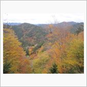 紅葉散り出しました、お山の上 ...