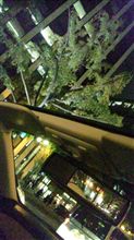 今日は……((((゜д゜;))))