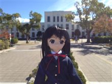 あずにゃん誕生日おめでとう☆*:.｡. o(≧▽≦)o .｡.:*☆