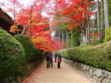 紅葉真っ盛りの高野山紅葉散策ツーリング＾＾